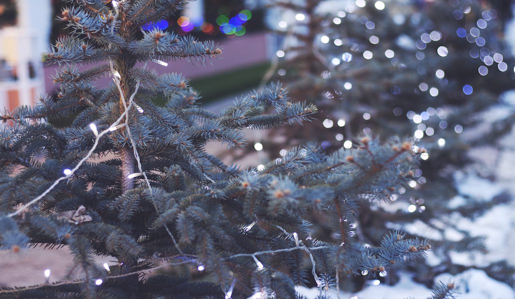 Christmas tree at home of family facing infertility