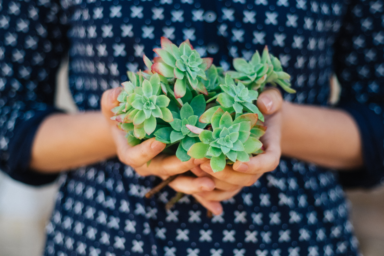 Young woman is holding succulent branches monthly grief and loss support group